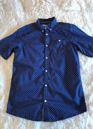 Классная рубашка в горошек для подростка gavaii vintage, 12-13 лет