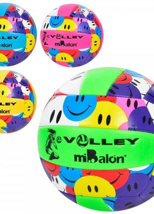 М'яч волейбольний ms-3591