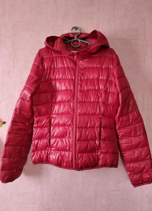 Стёганая куртка terranova+подарок🎀