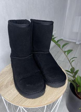 Серные сапоги ugg