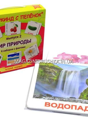 Розвиваюча гра картки домана випуск 2 світ природи «вундеркінд з пелюшок» ламінація російською мовою 6 наборів 120 карток