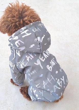 Одежда для собаки. зимний комбинезон4 фото
