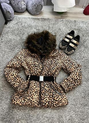 Куртка zara, кроси італійський бренд nila nila