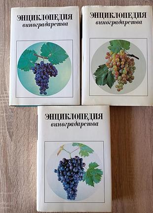 Енциклопедія виноробства у 3 томах