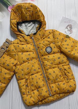 Куртка деми, курточка