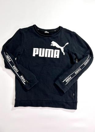 Подростковый свитшот puma / рост 145-152см / puma / свитшот пума / кофта пума / пума / худи puma /