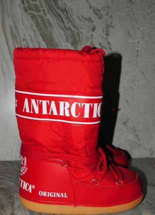 Снегоходы antarctica 35 размер2 фото