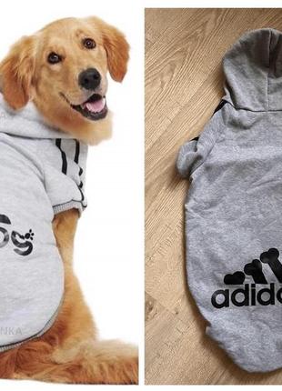 Капюшонка для собаки adidog