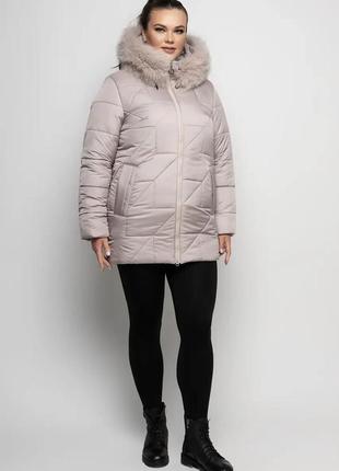 Жіноча зимова куртка великих розмірів з натуральним хутром (розміри 48-62)