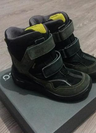 Сапоги зимние экко ( ecco), состояние новых, р.30,20см