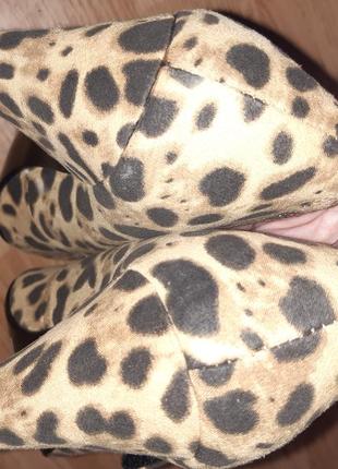 Леопардові туфлі love label еко замша р39 нові бірки3 фото