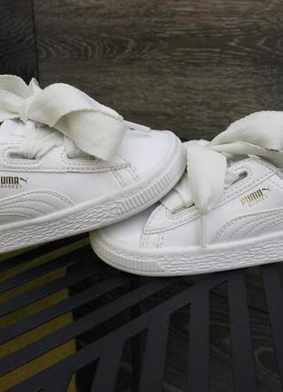 puma basket 23