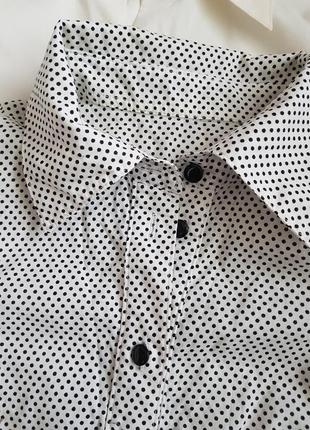 Чудова базова блуза у горох3 фото