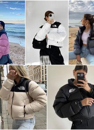 Женская куртка зимняя норма