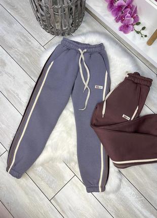 Спортивні штани джогери теплі на флісі