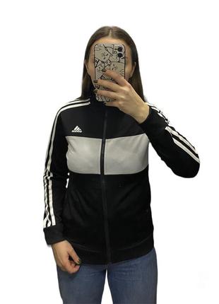 Олімпійка кофта