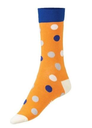 Мужские носки fun socks набор из 2 пар размер 36/40 41/463 фото