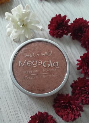 Сіяюща пудра ілюмінатор wet n wild  e348 starling bronse