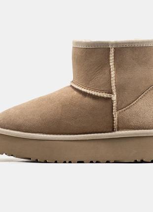 Женские угги хаки замшевые ugg mini platform8 фото