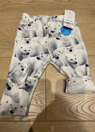 Легінси carters