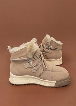 Теплі жіночі замшеві черевики бежеві зимові 37 женские ботинки lonza4 фото