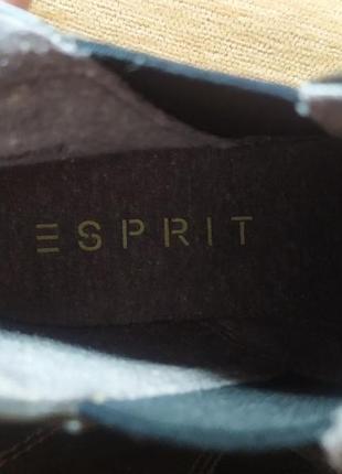 Жіночі черевики esprit7 фото