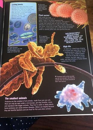 Дитяча енциклопедія англійською мовою! the science book (miles kelly science) by john farndon6 фото