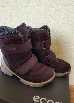 Зимние ботинкиecco biom hike 28p