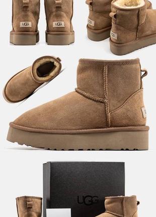 Ugg короткие угги на овчине