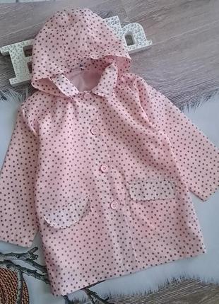 Вітровка дощовик в горошок