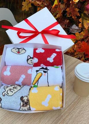 Бокс жіночих високих шкарпеток 36-41 на 6 пар у подарунковій коробці