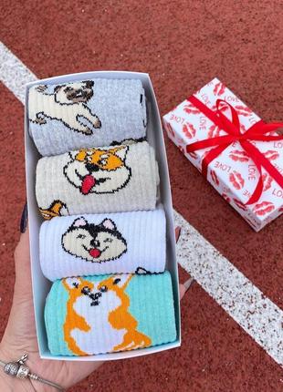 Бокс жіночих високих якісних шкарпеток "собачки" 36-41 на 4 пари у подарунковій коробці