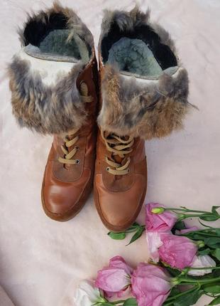 Ботинки сапожки зимние замш овчина на каблуке 385 фото