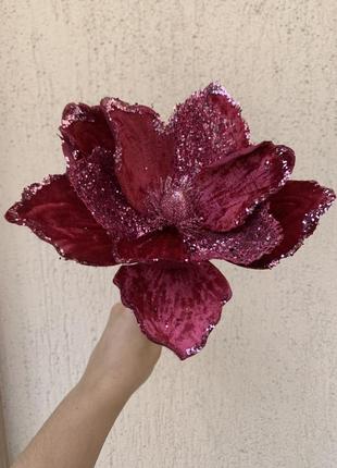 Цветок бархатной магнолии морозной бордового цвета