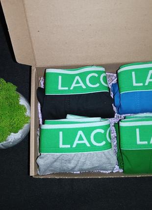 Подарочный набор мужских трусов боксеров lacoste (4 штуки)