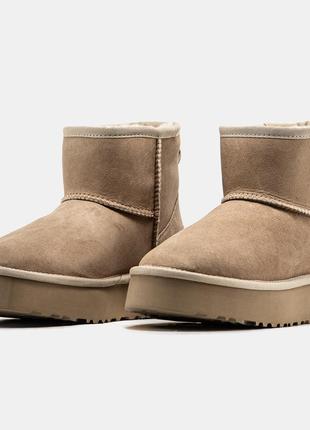 Жіночі замшеві уггі ugg mini platform