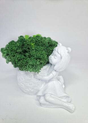 Стабілізований мох у кашпо кашпо дівчинка з кошиком декоративний екологічний мох8 фото