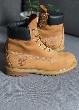 Timberland оригінальні демісезонні черевики чоботи