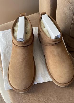 Угги из натуральной замши, ugg mini camel