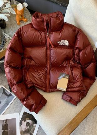 Женская куртка the north face 700 tnf3 фото