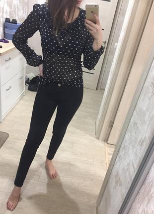 Штани elizabetta franchi