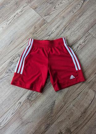 Шорты детские adidas aeropeady оригинал