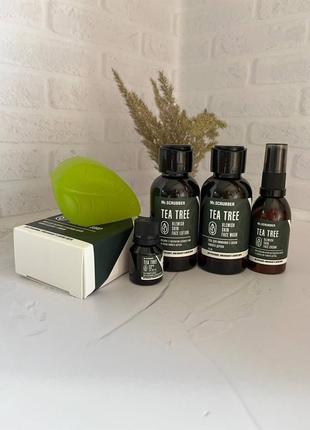 Набір tea tree skin treatment для обличчя