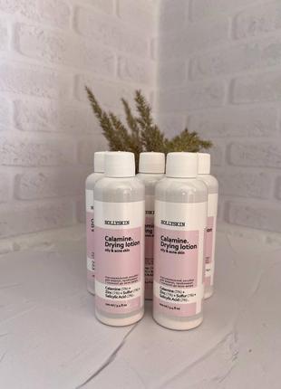 Подсушивающий лосьон для жирной, проблемной и склонной к акне кожи hollyskin calamine. drying lotion