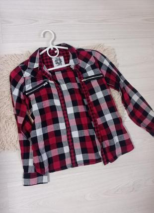 Рубашка в клітинку.