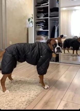 Зимний комбез для собак большие размеры