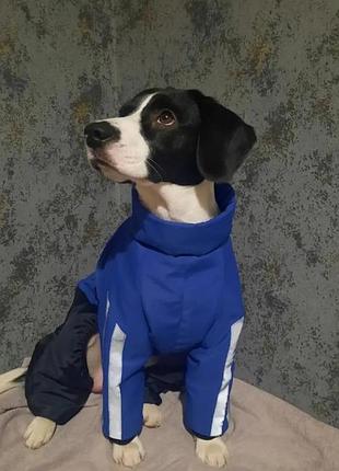 Зимний комбез для собак большие размеры
