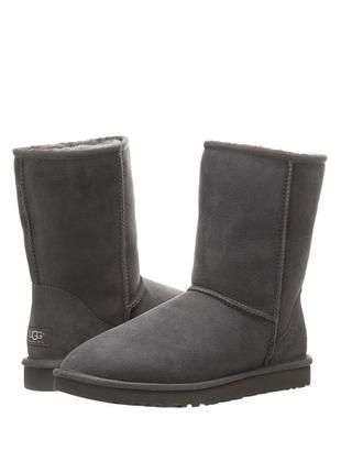 Жіночі класичні короткі угги ugg classic short grey