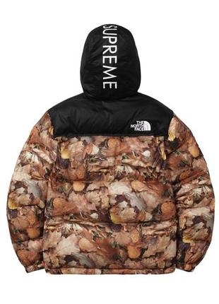Зимовий пуховик supreme x Carvela Bronze Mini Soft Bailey Bag nuptse 700 backpack maple tnf коричневий2 фото