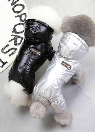 Одяг для тварин